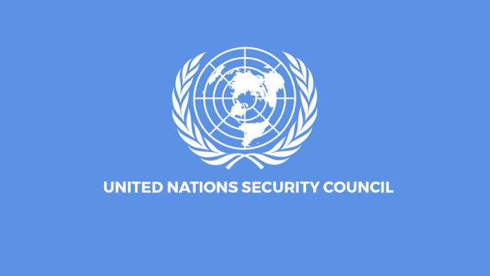 United Nations Security Council