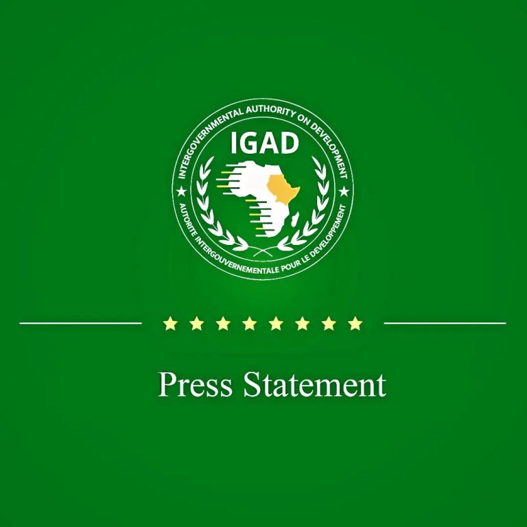 IGAD to Hold Emergency Summit to Address Growing Tensions in South Sudan