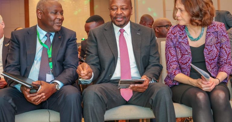 Kenya Leads Efforts to Address Financial Challenges of Smallholder Farmers at AfDB Conference